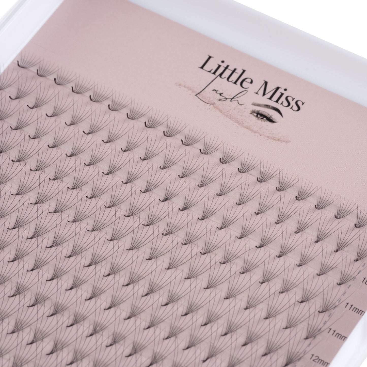 6D Pre-made Lash Trays